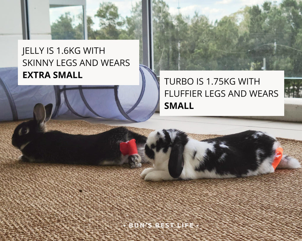 Bunny Hock Socks – Soft Protective Footwear for Rabbits