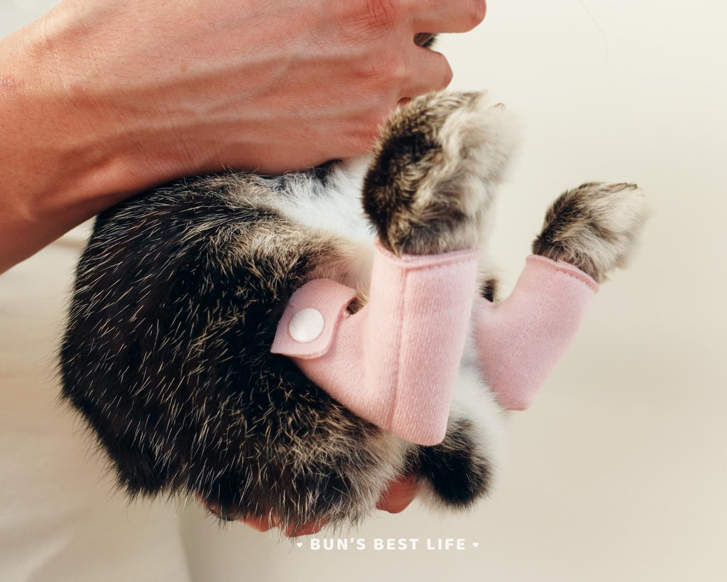 Bunny Hock Socks – Soft Protective Footwear for Rabbits