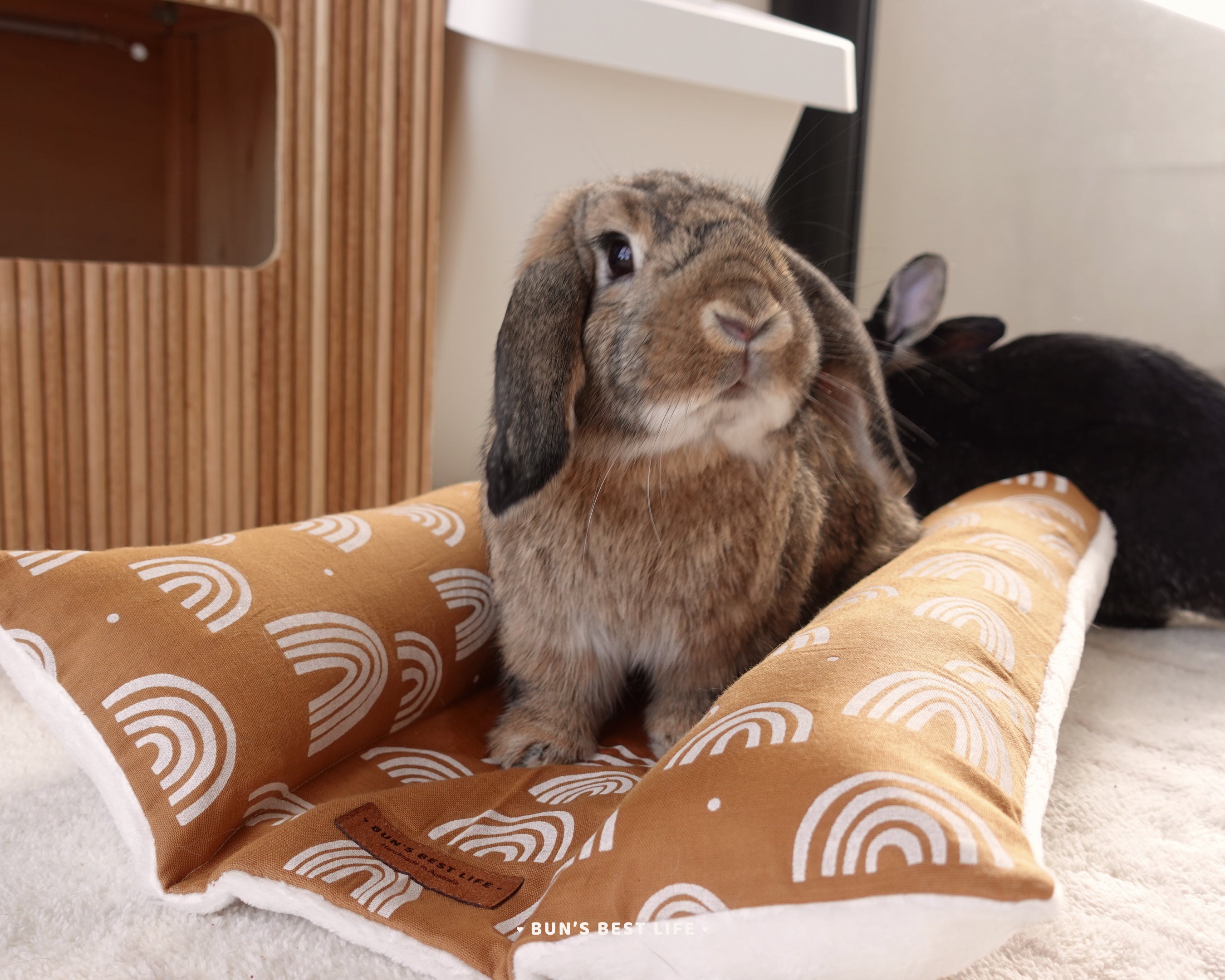 Waterproof and Washable Bunny Bed