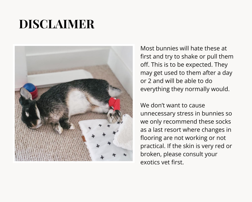 Bunny Hock Socks – Soft Protective Footwear for Rabbits